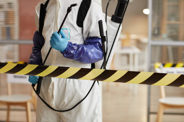 Professional Hoarding Cleanup technician working in Mystic, CT